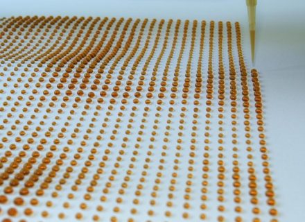 4908_showcase_project_detail_item