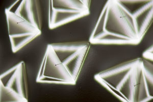 InterAccess_Projection_Mapping-For-Artists_June25