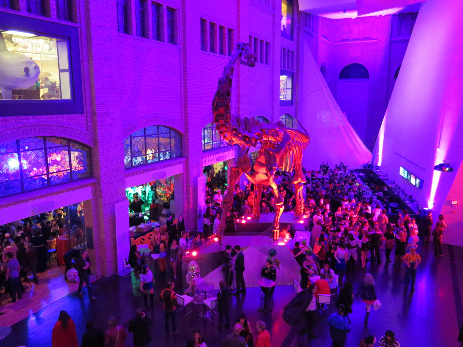 ROM friday night live