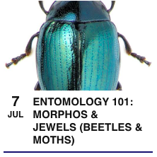 Screen Shot 2017-06-20 at 8.01.40 AM